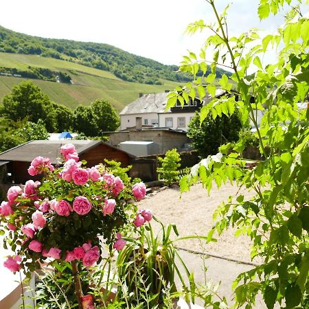 Ferienwohnung Ines Trittenheim Exterior foto
