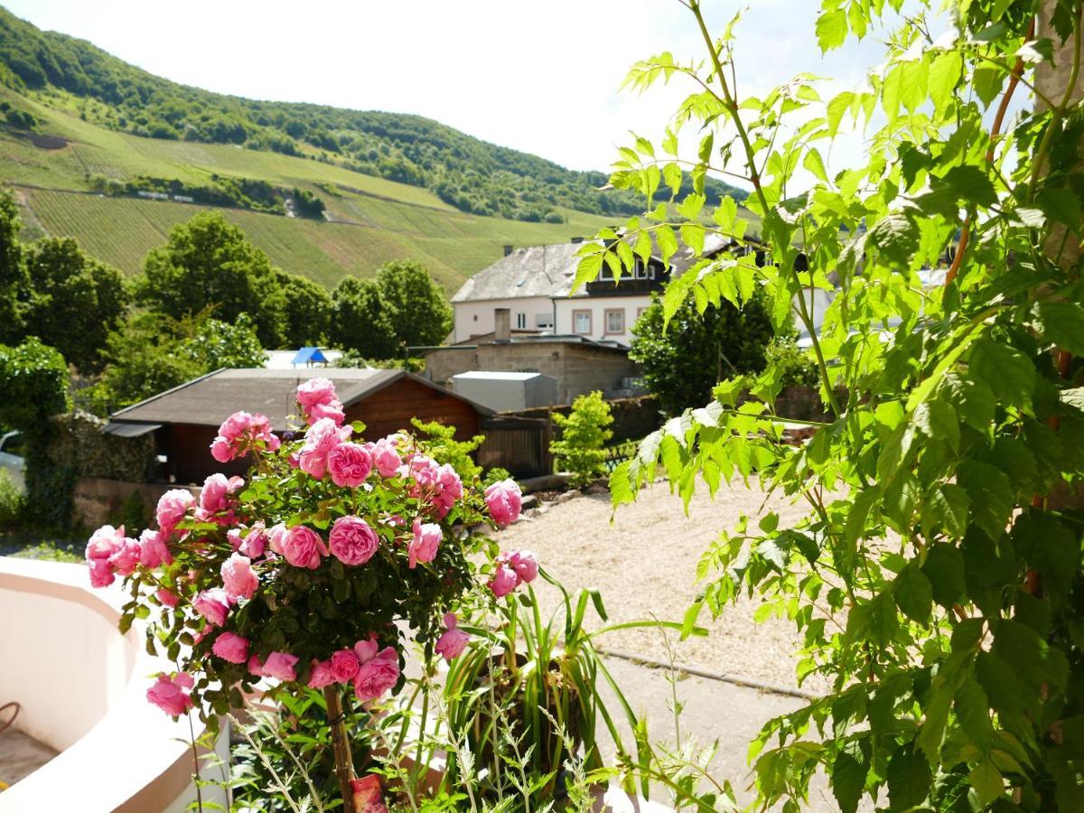 Ferienwohnung Ines Trittenheim Exterior foto